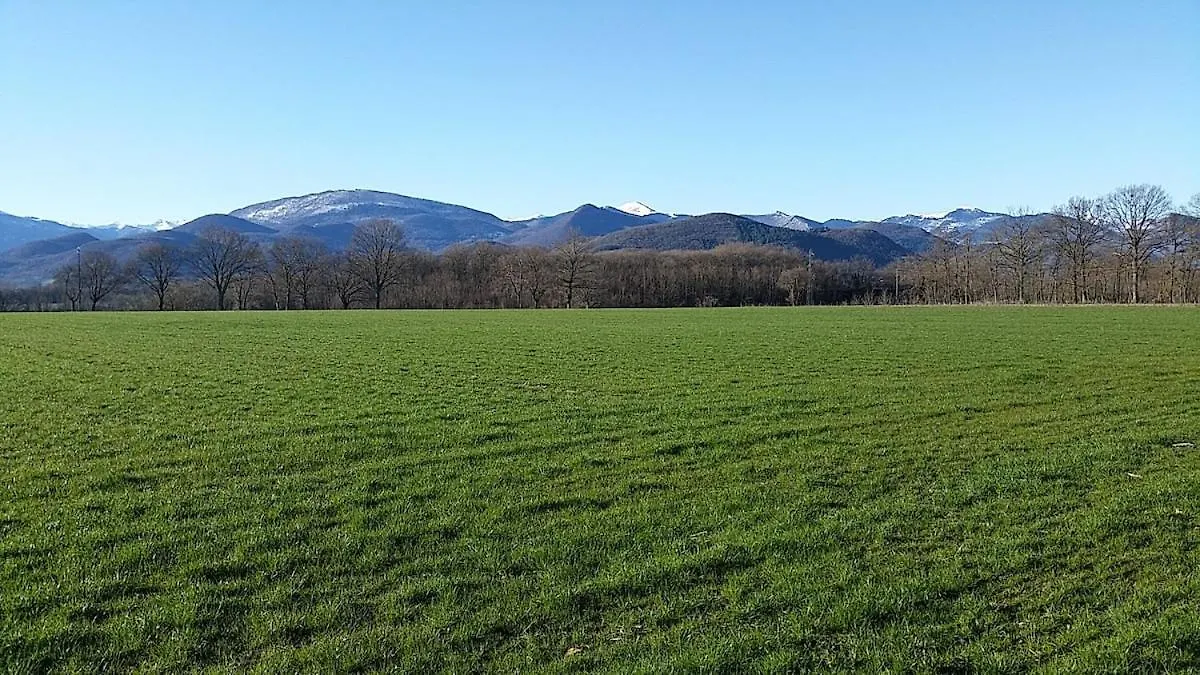 La Ferme Les Cousteres - Gite Modulable - En Couple Ou En Tribu De 2 A 15 Pers Montréjeau 0*,